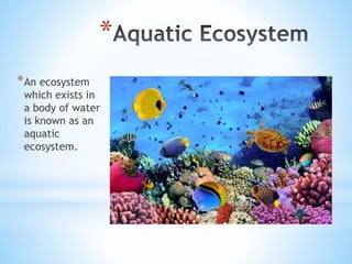 *
*An ecosystem
which exists in
a body of water
is known as an
aquatic
ecosystem.
 
