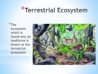 *
*The
ecosystem
which is
found only on
landforms is
known as the
terrestrial
ecosystem
 