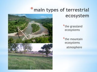 *
*the grassland
ecosystems
*the mountain
ecosystems
atmosphere
 