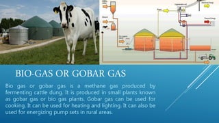 BIO-GAS OR GOBAR GAS
Bio gas or gobar gas is a methane gas produced by
fermenting cattle dung. It is produced in small plants known
as gobar gas or bio gas plants. Gobar gas can be used for
cooking. It can be used for heating and lighting. It can also be
used for energizing pump sets in rural areas.
 