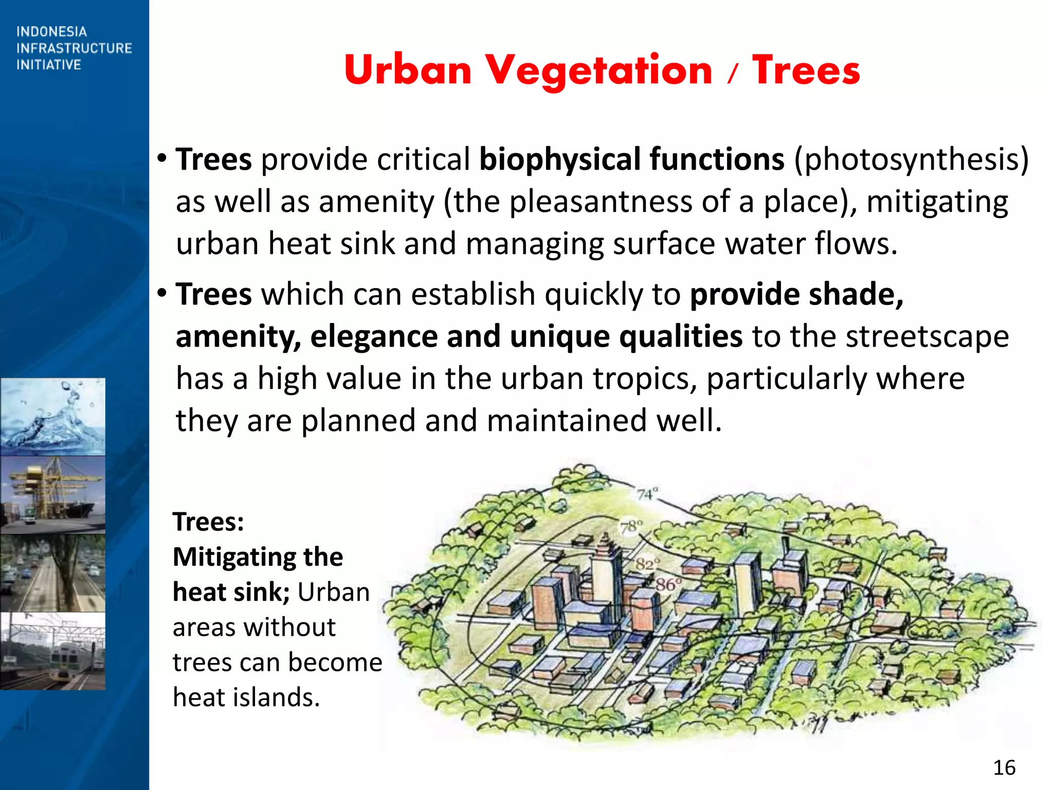 16
Urban Vegetation / Trees
• Trees provide critical biophysical functions (photosynthesis)
as well as amenity (the pleasantness of a place), mitigating
urban heat sink and managing surface water flows.
• Trees which can establish quickly to provide shade,
amenity, elegance and unique qualities to the streetscape
has a high value in the urban tropics, particularly where
they are planned and maintained well.
Trees:
Mitigating the
heat sink; Urban
areas without
trees can become
heat islands.
 