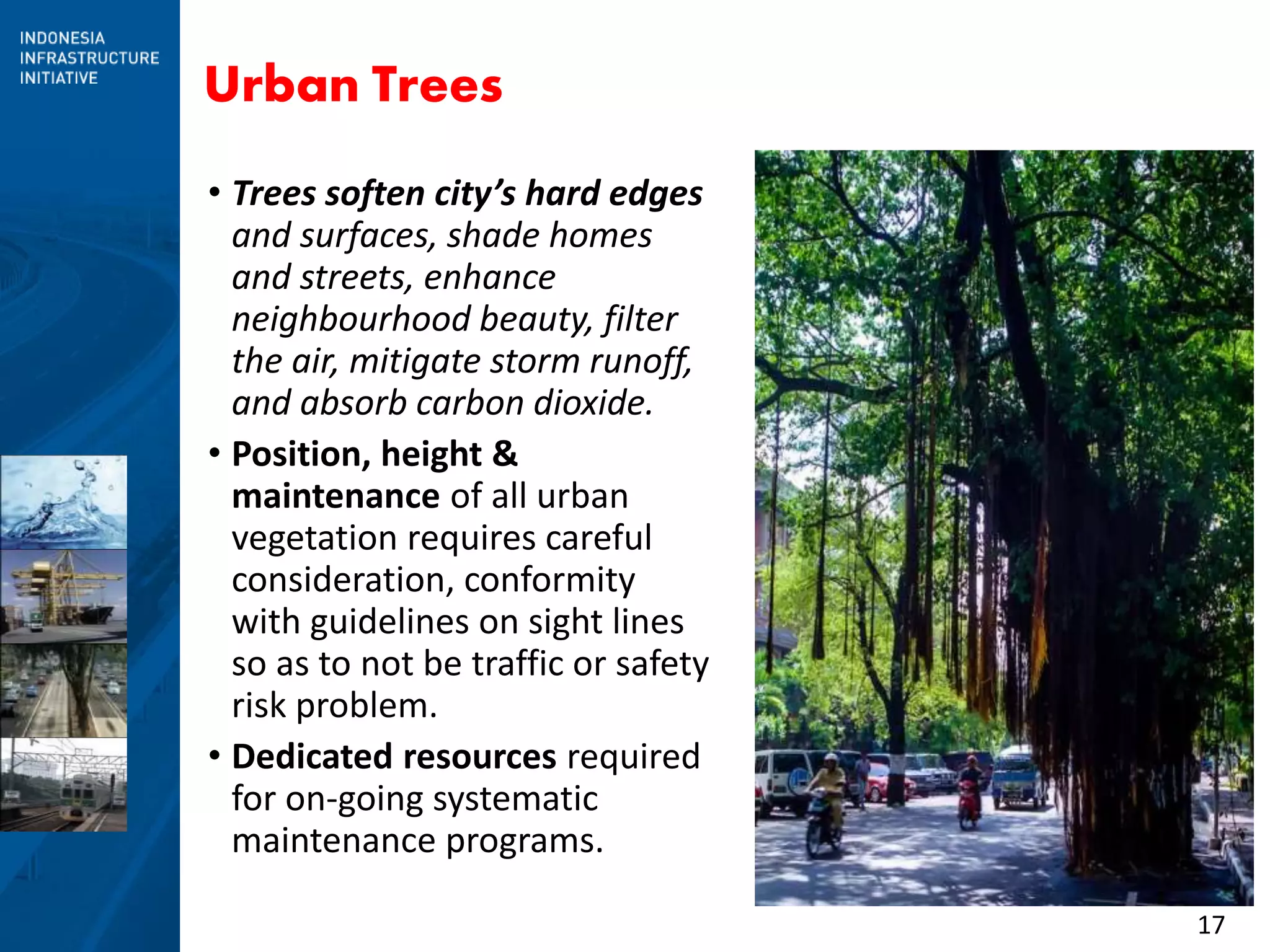 17
Urban Trees
• Trees soften city’s hard edges
and surfaces, shade homes
and streets, enhance
neighbourhood beauty, filter
the air, mitigate storm runoff,
and absorb carbon dioxide.
• Position, height &
maintenance of all urban
vegetation requires careful
consideration, conformity
with guidelines on sight lines
so as to not be traffic or safety
risk problem.
• Dedicated resources required
for on-going systematic
maintenance programs.
 