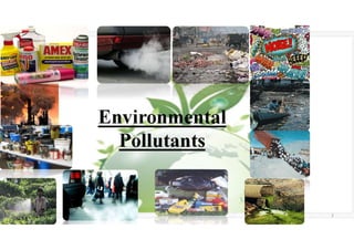 Environmental
Pollutants
5/20/2021 Dr. C. Beulah Jayarani 3
 