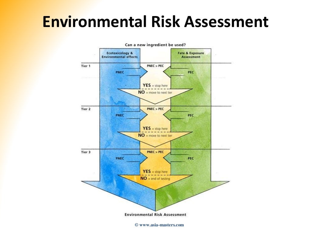 Environmental Risk Management