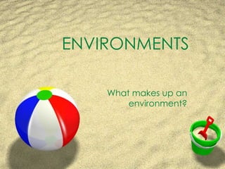 ENVIRONMENTS What makes up an environment? 