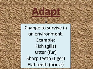 Adapt
Change to survive in
  an environment.
      Example:
     Fish (gills)
     Otter (fur)
 Sharp teeth (tiger)
 Flat teeth (horse)
 