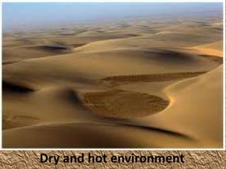 Dry and hot environment
 