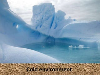 Cold environment