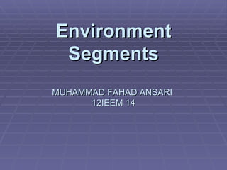 Environment
 Segments
MUHAMMAD FAHAD ANSARI
      12IEEM 14
 