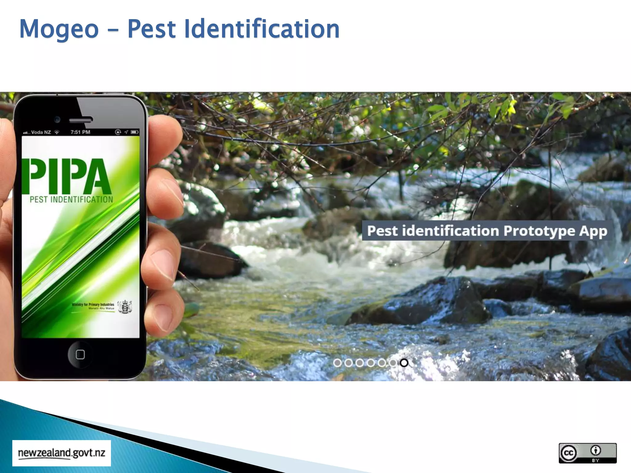 Mogeo – Pest Identification
 