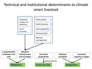 Livestock and the environment: Challenges to 2054