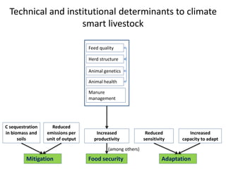 Livestock and the environment: Challenges to 2054