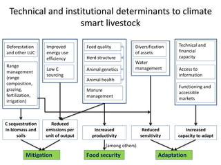 Livestock and the environment: Challenges to 2054
