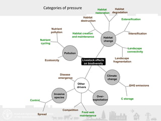 Livestock and the environment: Challenges to 2054