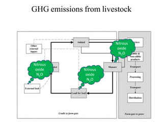 Livestock and the environment: Challenges to 2054
