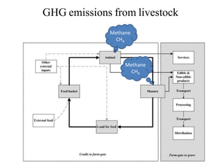 Livestock and the environment: Challenges to 2054
