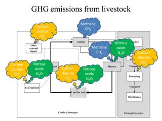 Livestock and the environment: Challenges to 2054