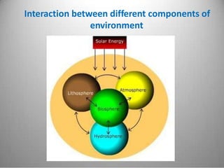 Interaction between different components of
environment
 
