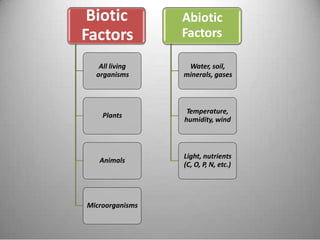 Biotic
Factors
Abiotic
Factors
All living
organisms
Water, soil,
minerals, gases
Temperature,
humidity, wind
Plants
Light, nutrients
(C, O, P, N, etc.)
Animals
Microorganisms
 