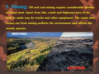 5. Mining: Oil and coal mining require considerable amount
of forest land. Apart from this, roads and highways have to be
built to make way for trucks and other equipment. The waste that
comes out from mining pollutes the environment and effects the
nearby species.
 