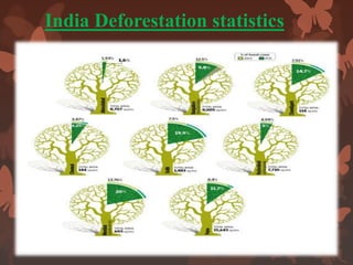 India Deforestation statistics
 