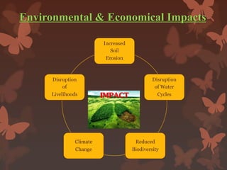 Increased
Soil
Erosion
Disruption
of Water
Cycles
Reduced
Biodiversity
Climate
Change
Disruption
of
Livelihoods
Environmental & Economical Impacts
IMPACT
 