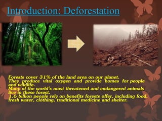 Forests cover 31% of the land area on our planet.
They produce vital oxygen and provide homes for people
and wildlife.
Many of the world’s most threatened and endangered animals
live in these forest.
1.6 billion people rely on benefits forests offer, including food,
fresh water, clothing, traditional medicine and shelter.
Introduction: Deforestation
 