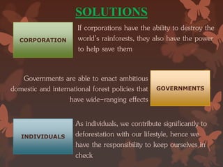 SOLUTIONS
CORPORATION
GOVERNMENTS
INDIVIDUALS
If corporations have the ability to destroy the
world’s rainforests, they also have the power
to help save them
Governments are able to enact ambitious
domestic and international forest policies that
have wide-ranging effects
As individuals, we contribute significantly to
deforestation with our lifestyle, hence we
have the responsibility to keep ourselves in
check
 