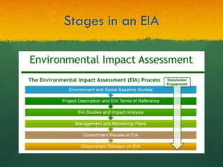 Stages in an EIA
 