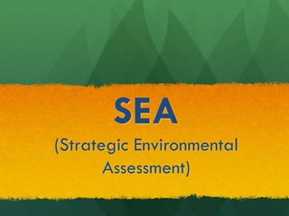 SEA
(Strategic Environmental
Assessment)
 