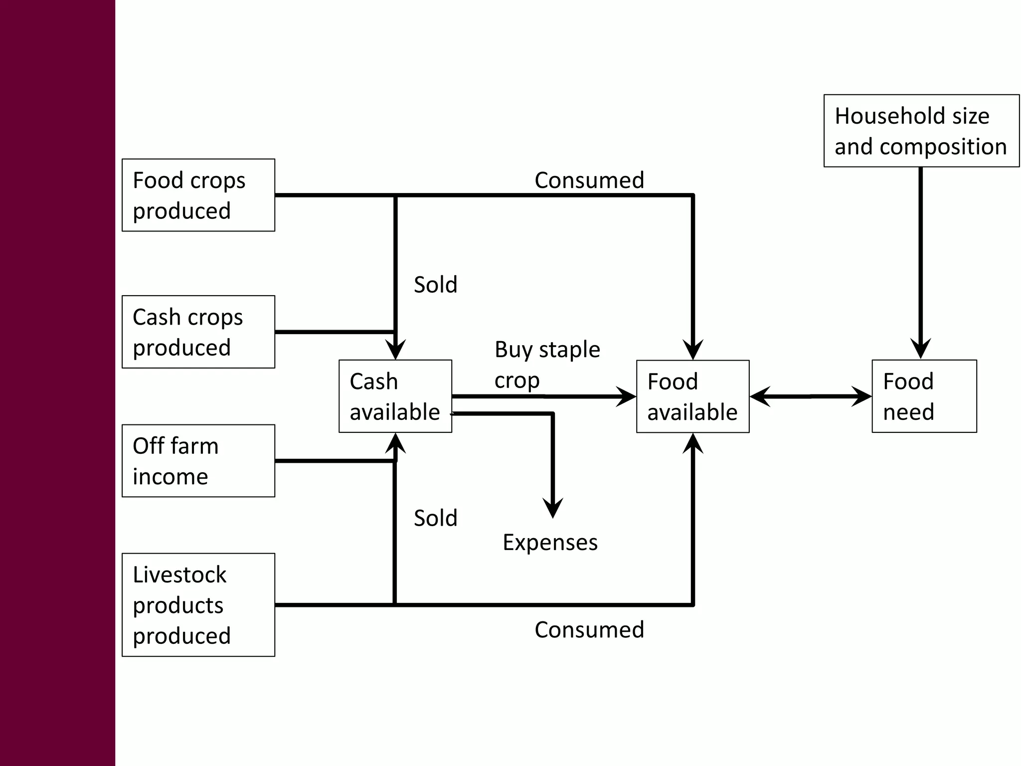 Food crops 
produced 
Cash crops 
produced 
Off farm 
income 
Livestock 
products 
produced 
Cash 
available 
Food 
available 
Food 
need 
Buy staple 
crop 
Expenses 
Household size 
and composition 
Consumed 
Consumed 
Sold 
Sold 
 