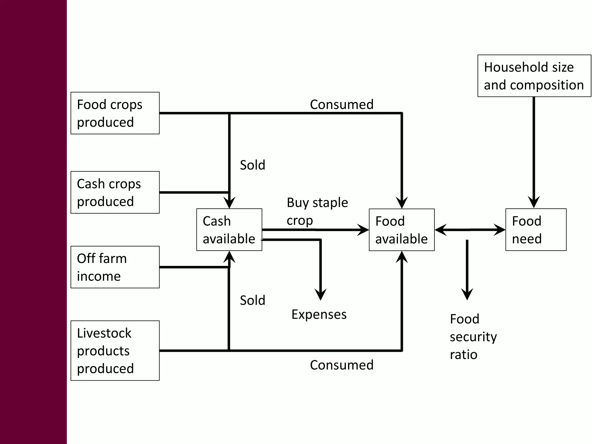 Food crops 
produced 
Cash crops 
produced 
Off farm 
income 
Livestock 
products 
produced 
Cash 
available 
Food 
available 
Food 
need 
Buy staple 
crop 
Expenses 
Household size 
and composition 
Consumed 
Consumed 
Sold 
Sold 
Food 
security 
ratio 
 