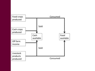 Big data from small farms