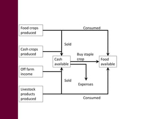 Big data from small farms