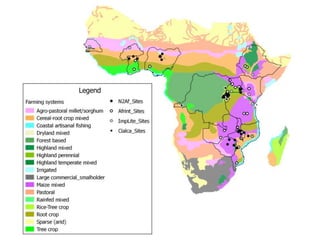 Big data from small farms