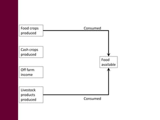 Big data from small farms