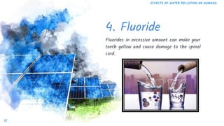 4. Fluoride
Fluorides in excessive amount can make your
teeth yellow and cause damage to the spinal
cord.
10
EFFECTS OF WATER POLLUTION ON HUMANS:
 