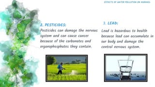 2. PESTICIDES:
Pesticides can damage the nervous
system and can cause cancer
because of the carbonates and
organophosphates they contain.
EFFECTS OF WATER POLLUTION ON HUMANS:
3. LEAD:
Lead is hazardous to health
because lead can accumulate in
our body and damage the
central nervous system.
9
 
