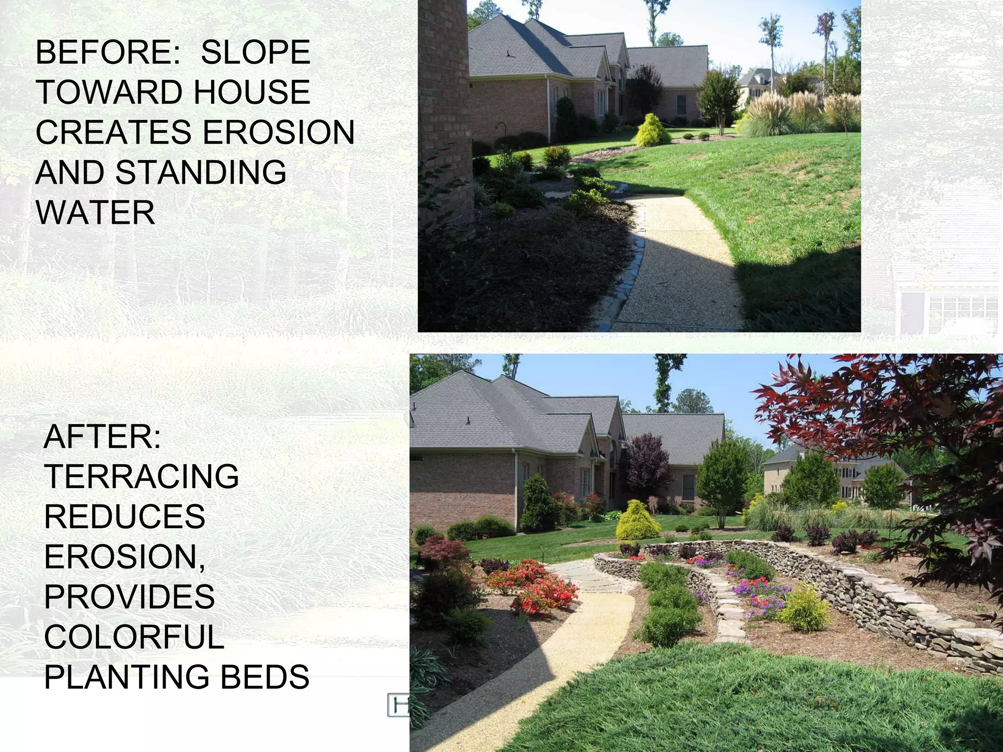 BEFORE:  SLOPE TOWARD HOUSE CREATES EROSION AND STANDING WATER AFTER:  TERRACING REDUCES EROSION, PROVIDES COLORFUL PLANTING BEDS 
