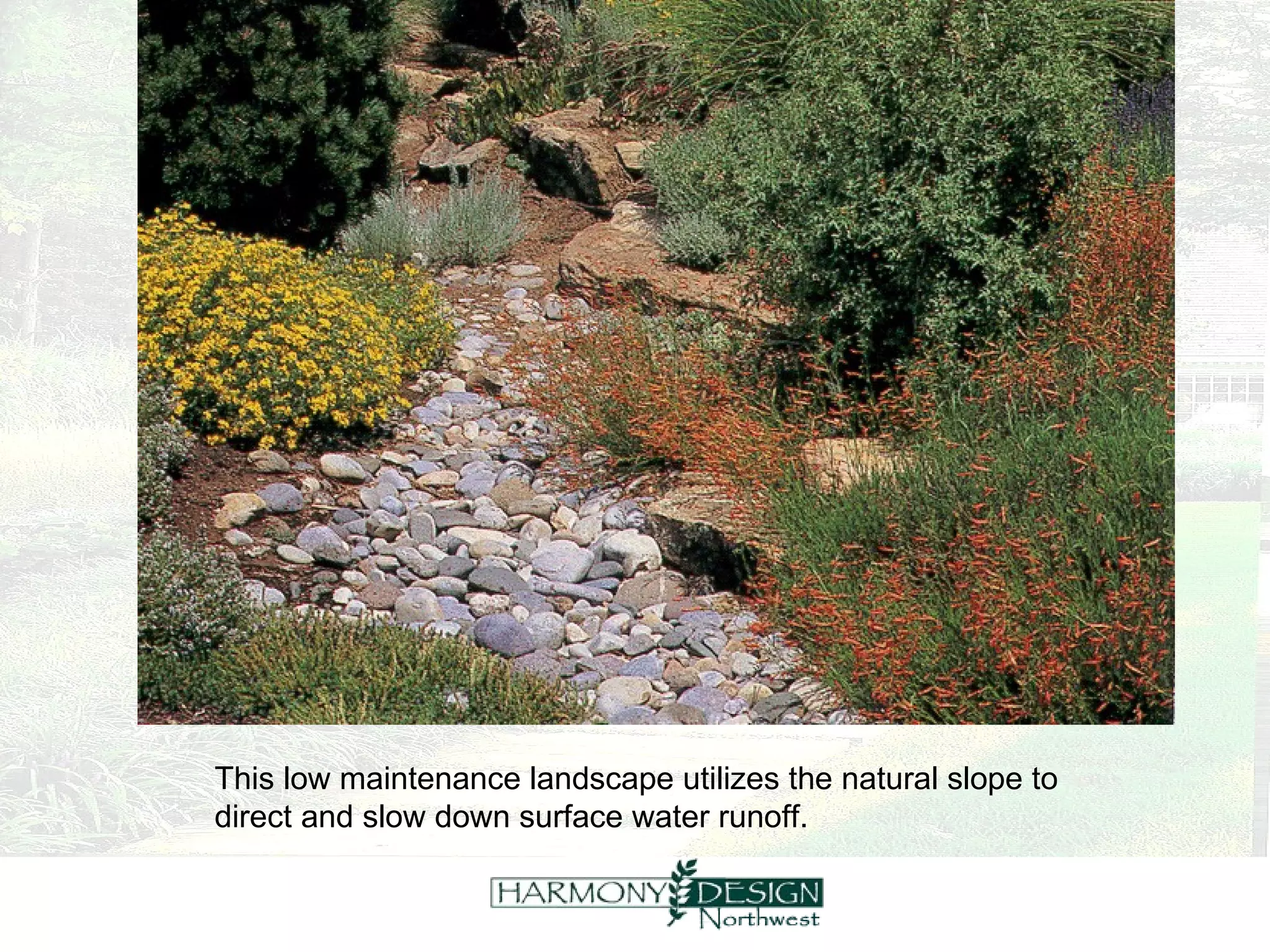 This low maintenance landscape utilizes the natural slope to  direct and slow down surface water runoff. 