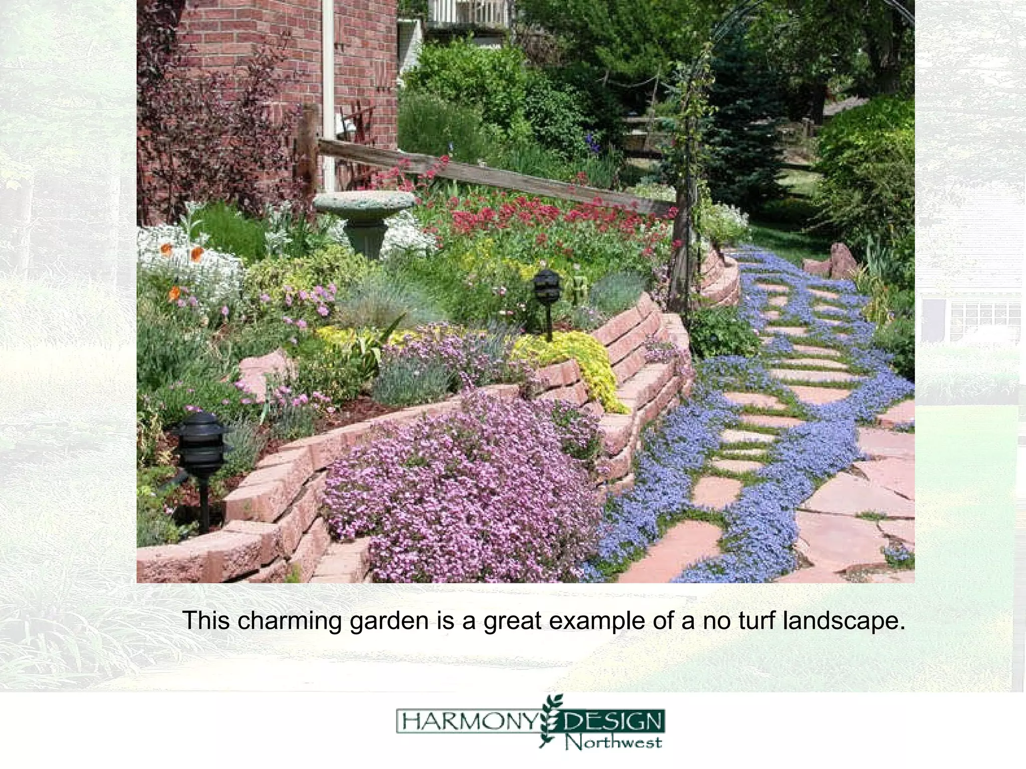 This charming garden is a great example of a no turf landscape. 