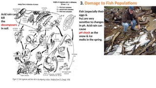 Fish Decomper Comprehensive Overview of Basic Environmental Chemistry and Atmospheric ...