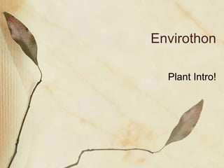 Envirothon Plant Intro! 