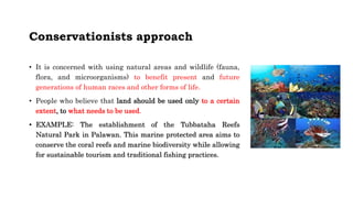 Conservationists approach
• It is concerned with using natural areas and wildlife (fauna,
flora, and microorganisms) to benefit present and future
generations of human races and other forms of life.
• People who believe that land should be used only to a certain
extent, to what needs to be used.
• EXAMPLE: The establishment of the Tubbataha Reefs
Natural Park in Palawan. This marine protected area aims to
conserve the coral reefs and marine biodiversity while allowing
for sustainable tourism and traditional fishing practices.
 