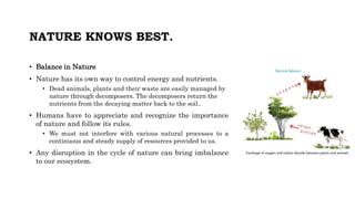 NATURE KNOWS BEST.
• Balance in Nature
• Nature has its own way to control energy and nutrients.
• Dead animals, plants and their waste are easily managed by
nature through decomposers. The decomposers return the
nutrients from the decaying matter back to the soil..
• Humans have to appreciate and recognize the importance
of nature and follow its rules.
• We must not interfere with various natural processes to a
continuous and steady supply of resources provided to us.
• Any disruption in the cycle of nature can bring imbalance
to our ecosystem.
 