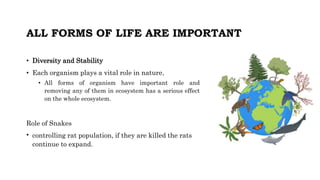ALL FORMS OF LIFE ARE IMPORTANT
• Diversity and Stability
• Each organism plays a vital role in nature.
• All forms of organism have important role and
removing any of them in ecosystem has a serious effect
on the whole ecosystem.
Role of Snakes
• controlling rat population, if they are killed the rats
continue to expand.
 