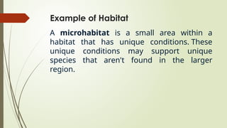 Example of Habitat
A microhabitat is a small area within a
habitat that has unique conditions. These
unique conditions may support unique
species that aren't found in the larger
region.
 