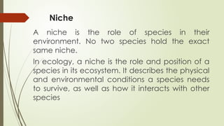 Niche
A niche is the role of species in their
environment. No two species hold the exact
same niche.
In ecology, a niche is the role and position of a
species in its ecosystem. It describes the physical
and environmental conditions a species needs
to survive, as well as how it interacts with other
species
 