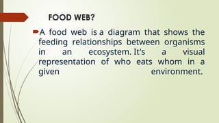 FOOD WEB?
A food web is a diagram that shows the
feeding relationships between organisms
in an ecosystem. It's a visual
representation of who eats whom in a
given environment.
 