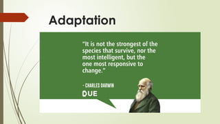 Adaptation
 